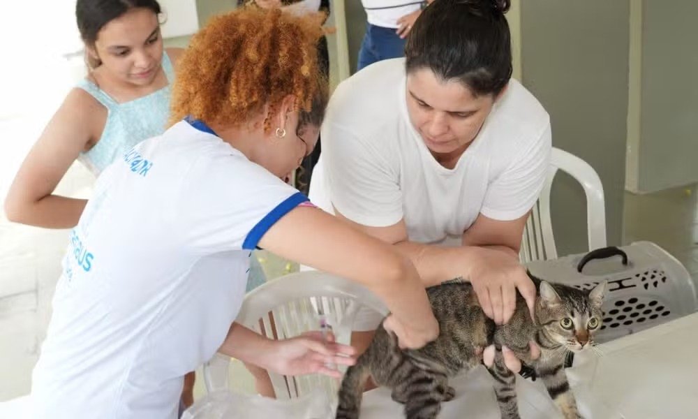 Prazo para convocados da vacinação antirrábica termina quarta