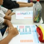 Pibid aproxima universidades e escolas públicas brasileiras
